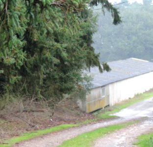 portail et poulailler (2)