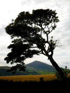 North Barrule from Maughold Village - 2017-08-13