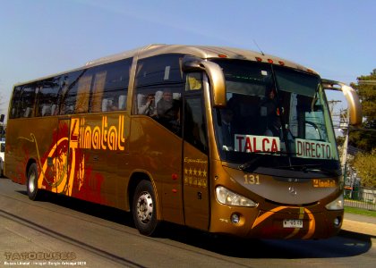 ← Buses Linatal ©→