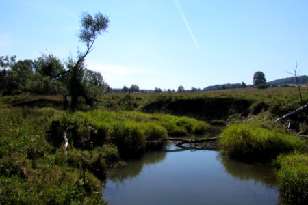 Rezerwat 1