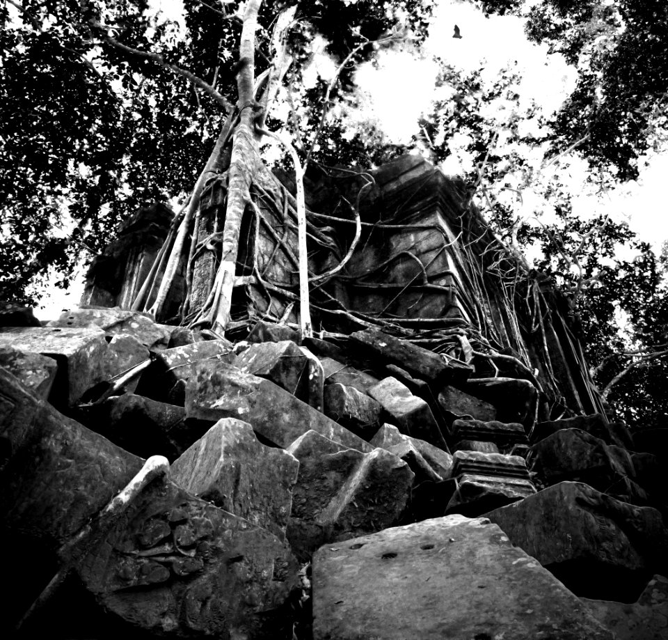 Beng mealea jungle temple