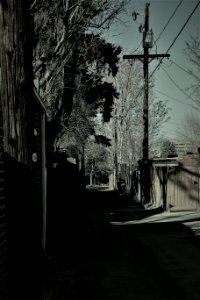 When alleys become the most interesting places