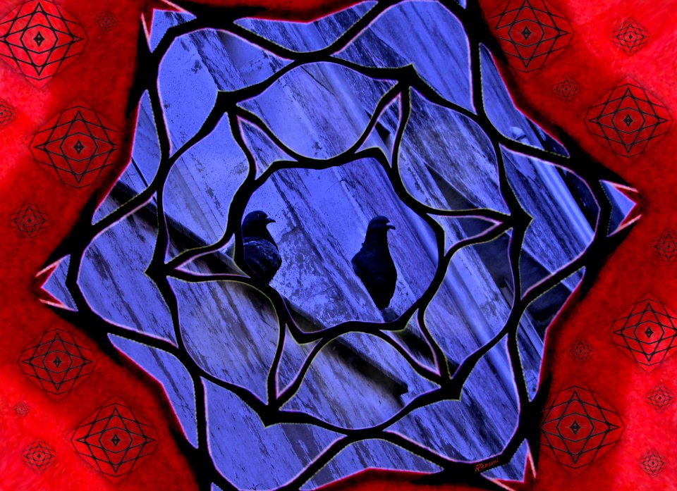Black Bird Couple