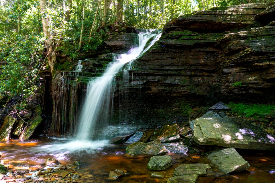 Dolly Sods Wilderness, West Virginia photo