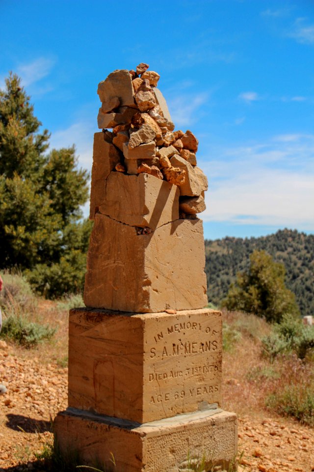 In Memory of S.A. McMeans