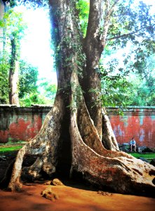 Banteay kdei temple
