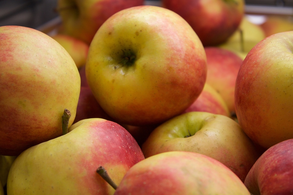 Fruit food fresh
