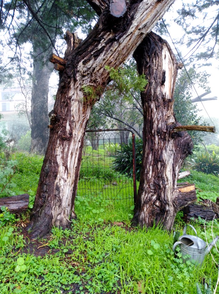 A Mysterious Place called Hawthorndene