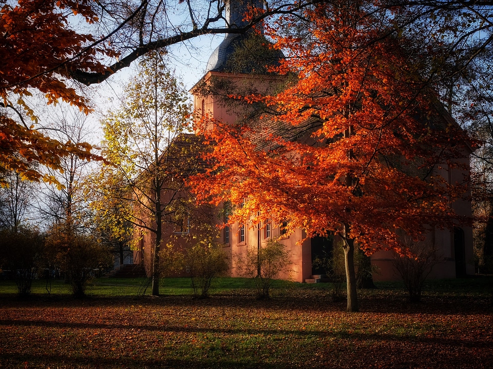 Leaves mood church