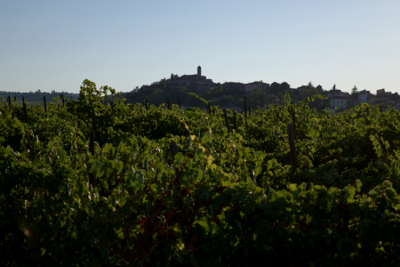 Panorama