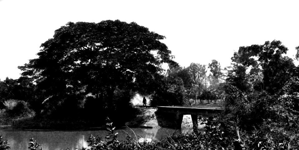 Battambang - Waiting for the bamboo train
