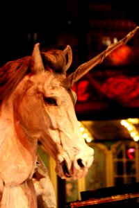 CAMILLE MORENOS - dernière licorne