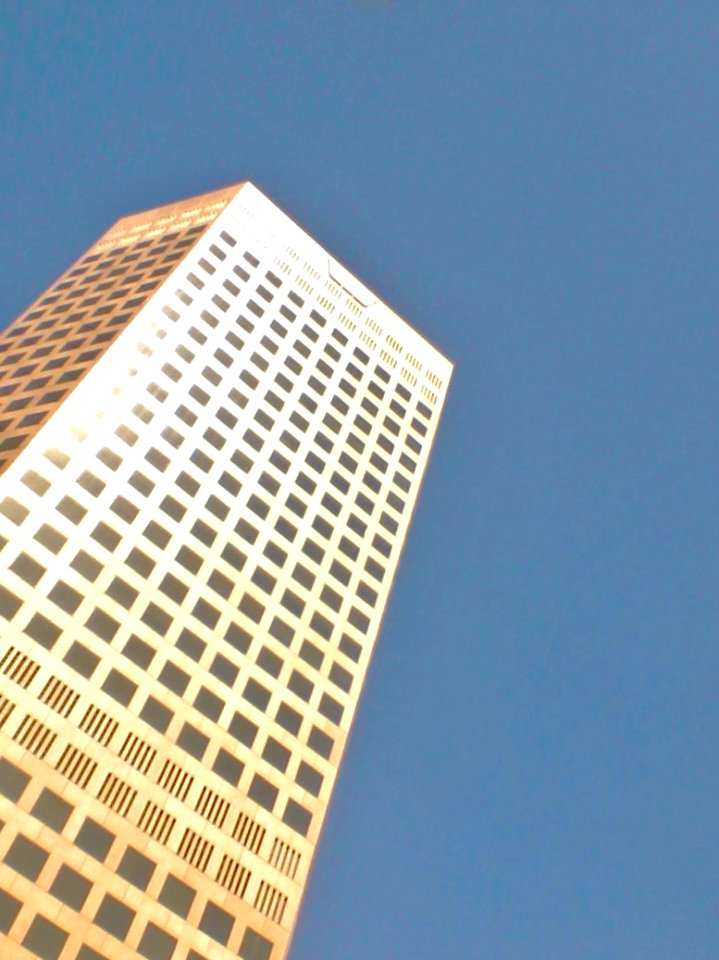 Sheen on the building