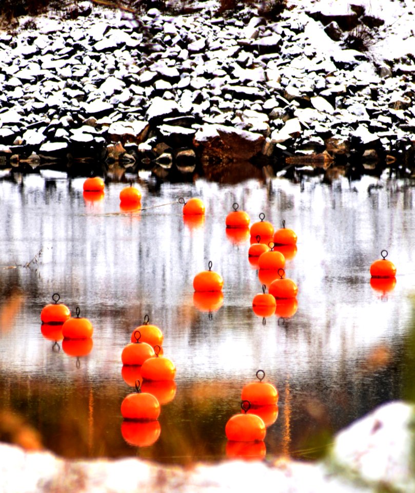 Winter marina - Byglandsfjord