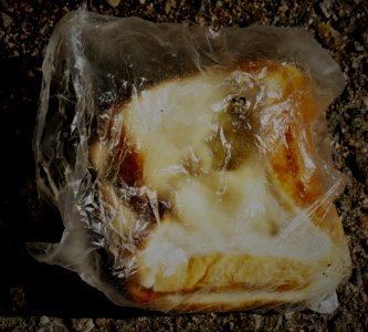Sandwich in a Bag photo