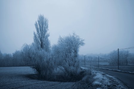 Anjou bleu décembre - Stéphanie baumard photo