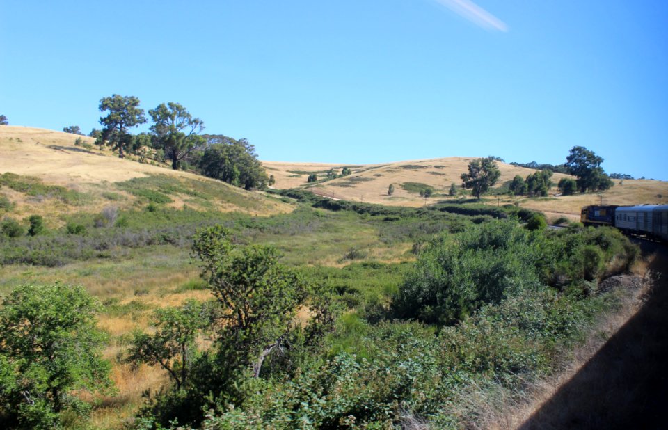 curved track - Adelaide Hills