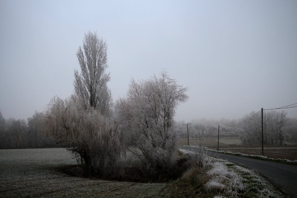 Anjou décembre - Stéphanie baumard