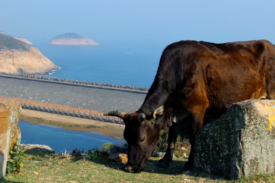 High Island Reservoir