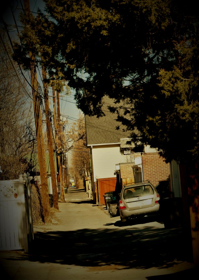 Another Day in COVID-19 Land