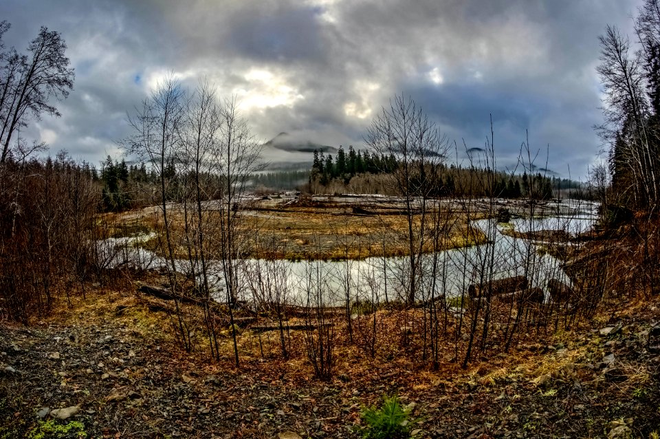 Olympic National Park
