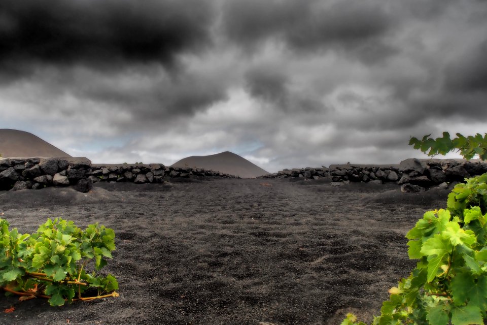 La Geria, Lanzarote
