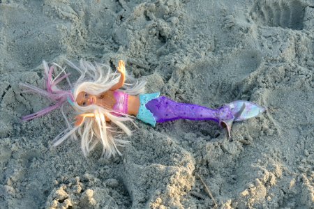 mermaid barbie-P1880510