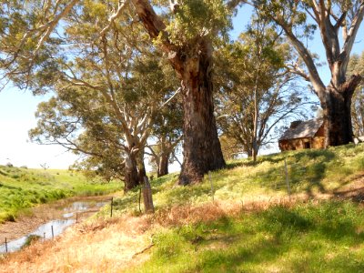 Cottage by the creek