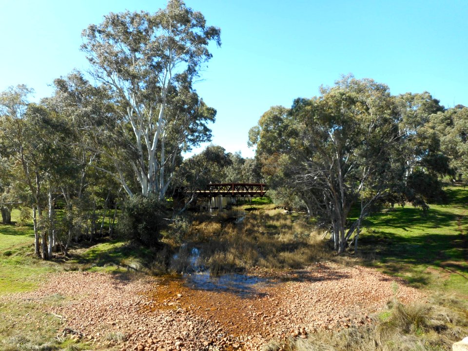 Disused road bridge, Crystal Brook