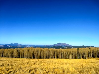 Humphreys Peak, Arizona photo