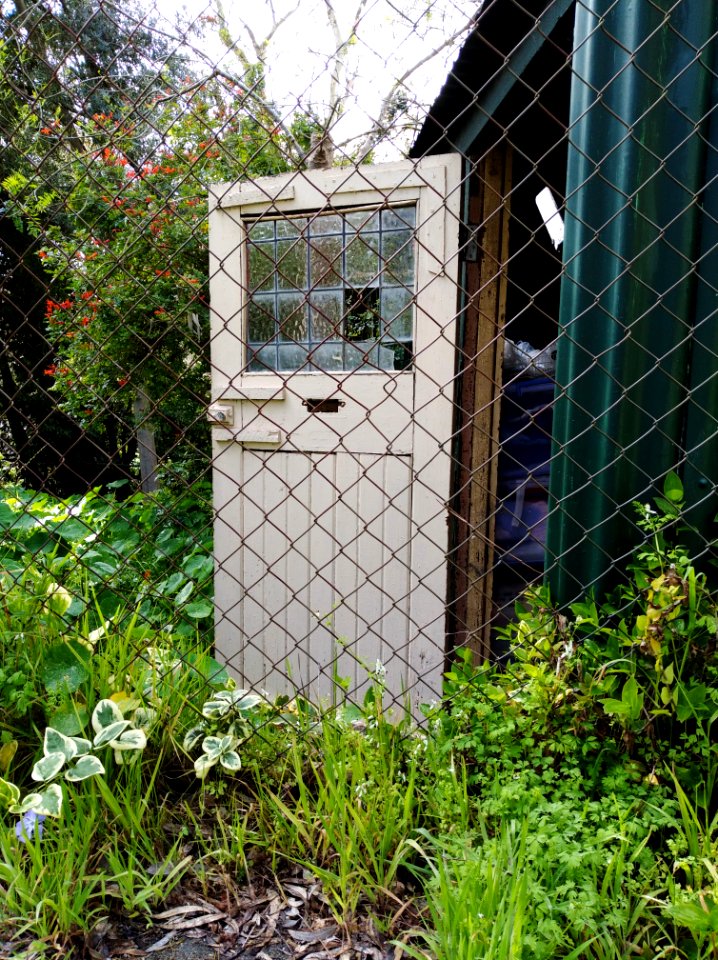 I wonder whose front door has been re-purposed as our shed door these last forty-odd years?