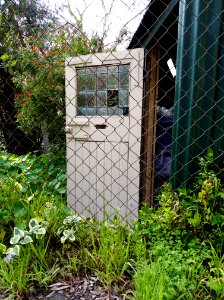 I wonder whose front door has been re-purposed as our shed door these last forty-odd years?