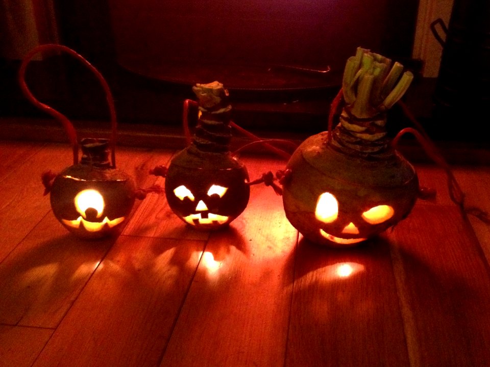 Hop-tu-naa turnips by Sarah Callow (02)
