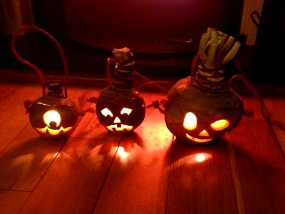 Hop-tu-naa turnips by Sarah Callow (02)