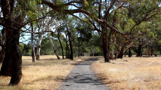 Deserted golf course