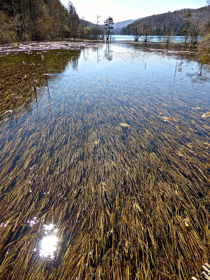 Lake tranquil nature