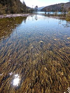 Lake tranquil nature
