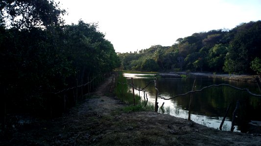 Caminhos do Jaguaribe photo