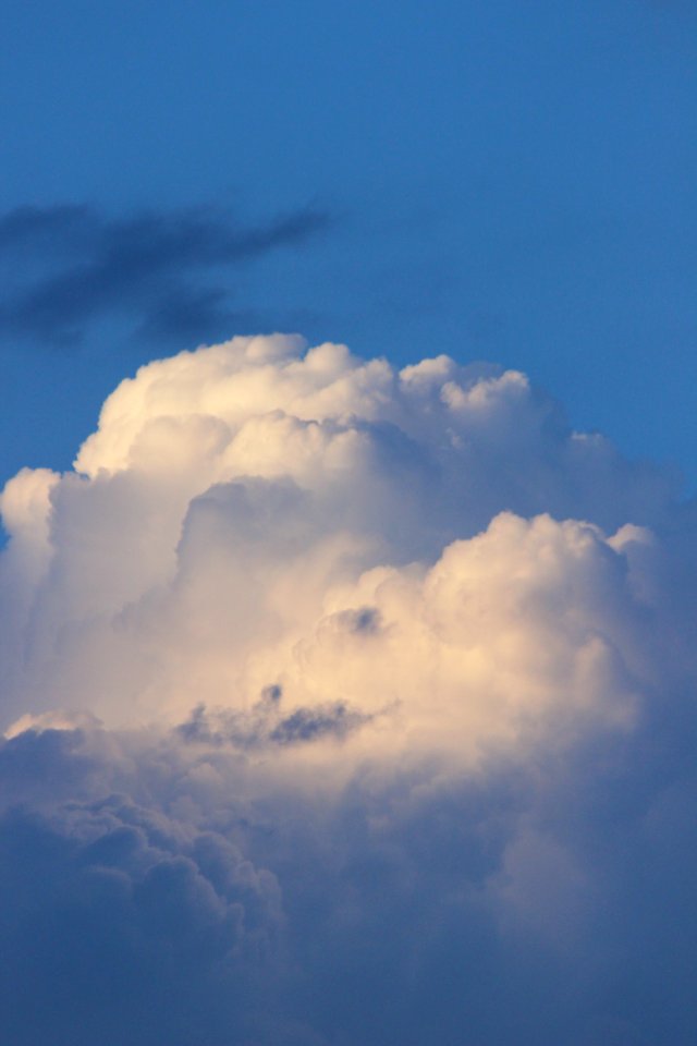 CAMILLE MORENOS - nuage coton
