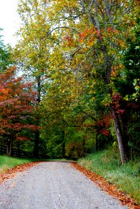 Bull Run Mountain, Virginia