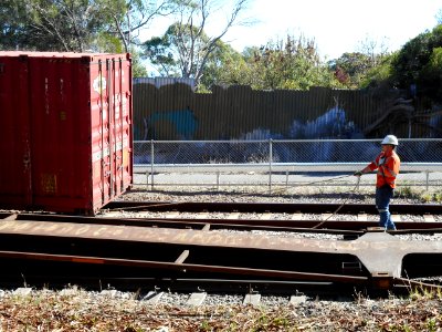 Train derailment, Glenalta photo