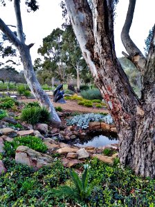 The Garden at Ukaria Concert Hall