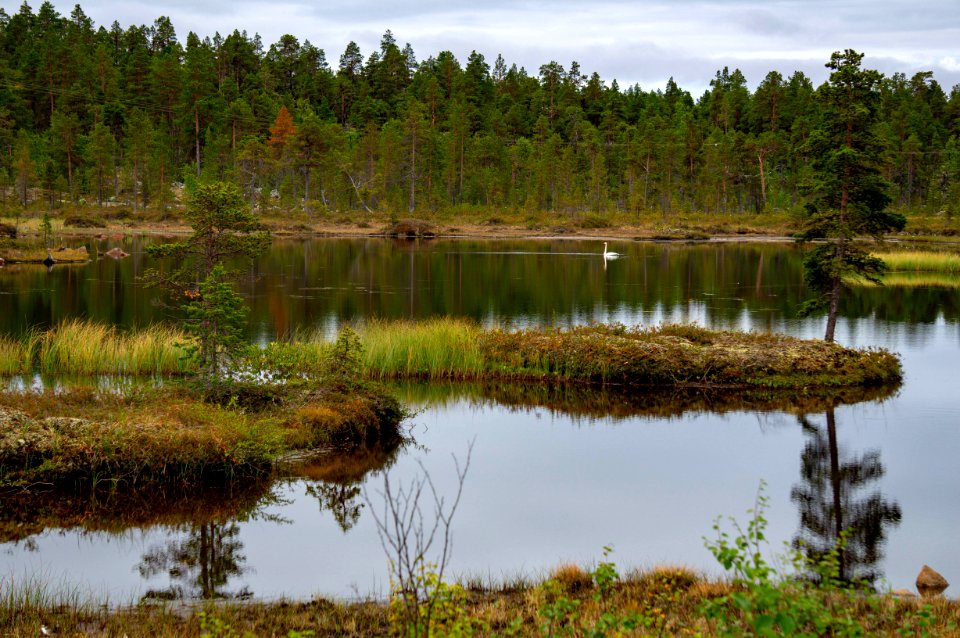 Finland