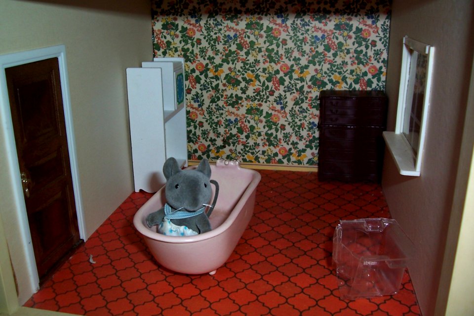 Baby Mouse in the bath