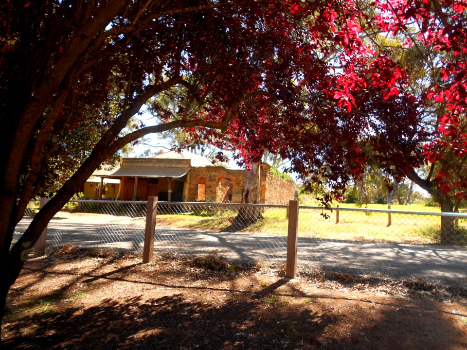 Leasingham Road, Mintaro
