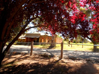 Leasingham Road, Mintaro