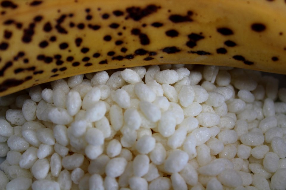 Rice bubble depth of field
