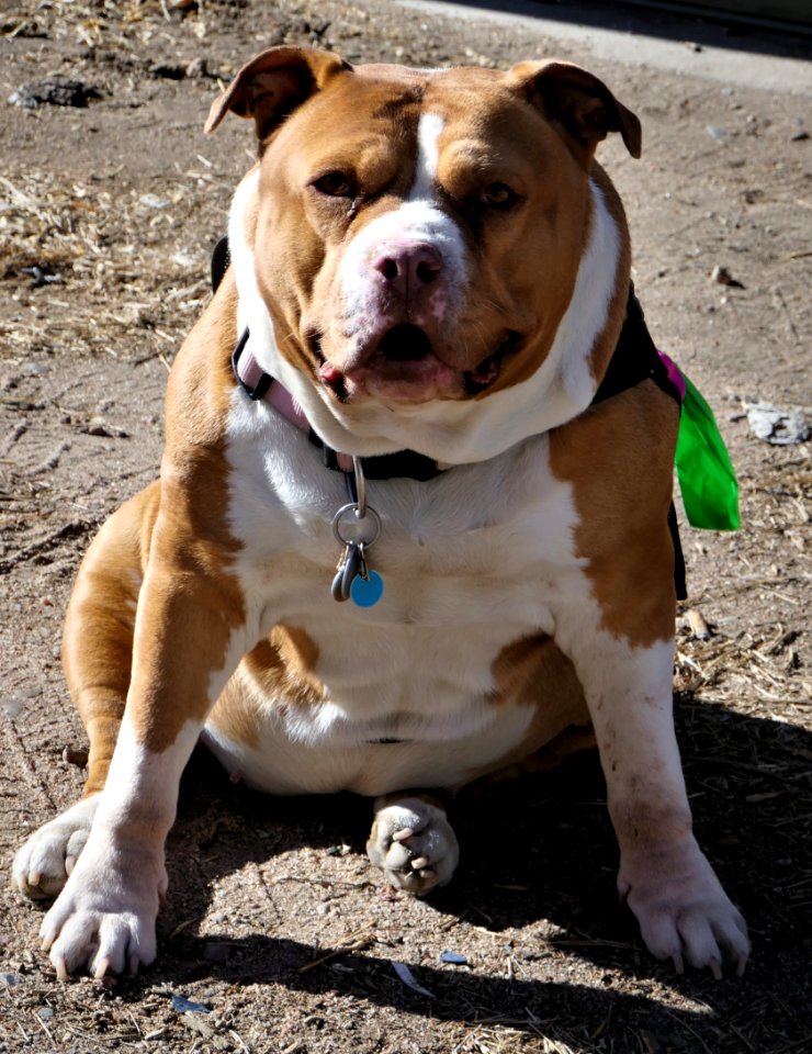 Loves to have her picture taken.