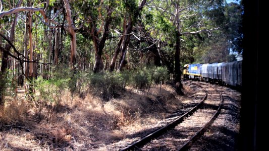 Along the train to the loco