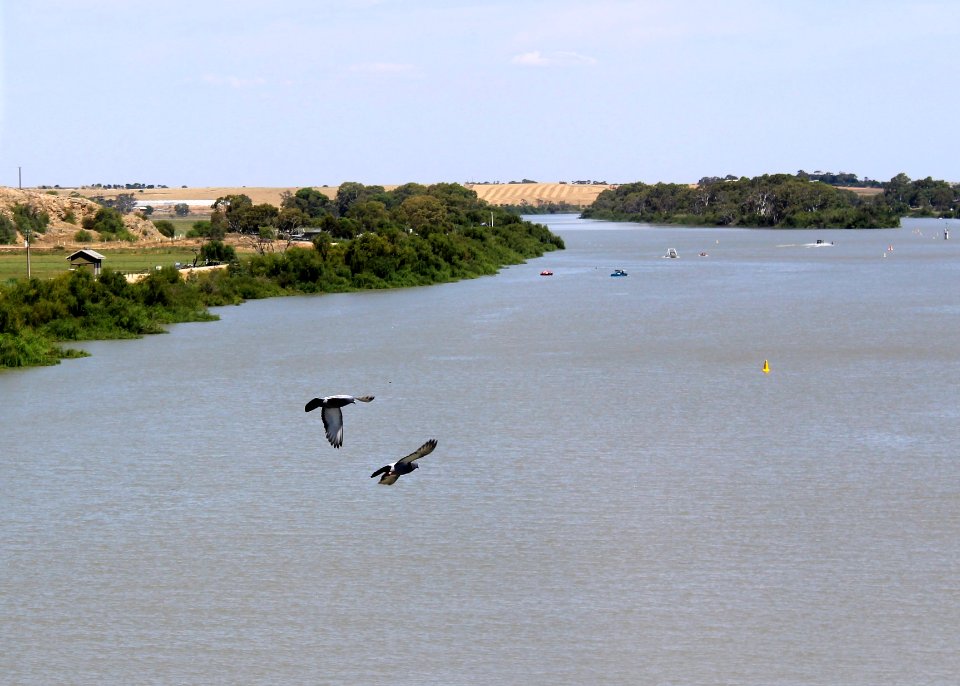 Crossing the Murray